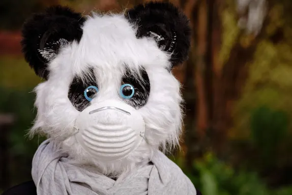 Kasyno Mars Bet Wsparcie